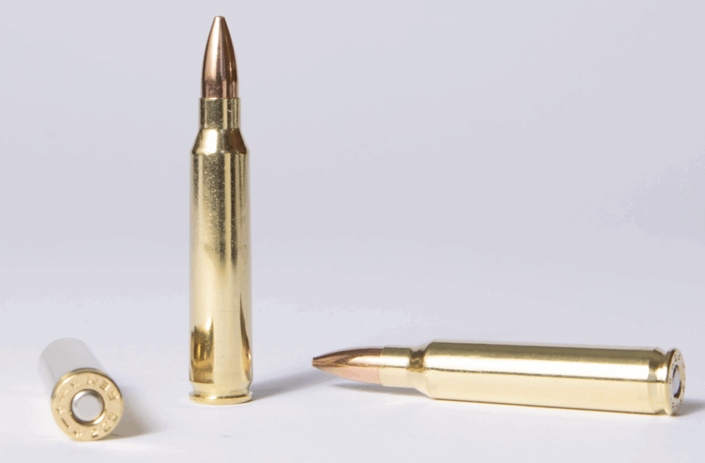223 - 55gr FMJ - 1,000 Rounds - Bulk 223 Ammo